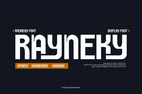 Rayneky: The Bold Sans Serif Font for Modern Business Branding