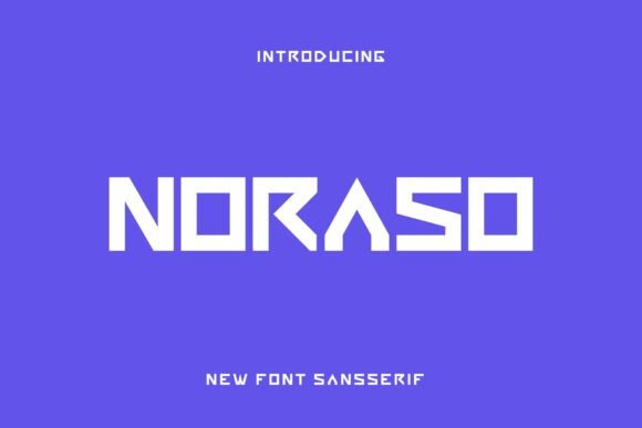 Why Noraso Is the Bold Sans Serif Font Your Brand Needs
