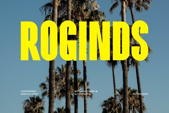 Why Roginds Is the Bold Sans Serif Font for Modern Editorial Design